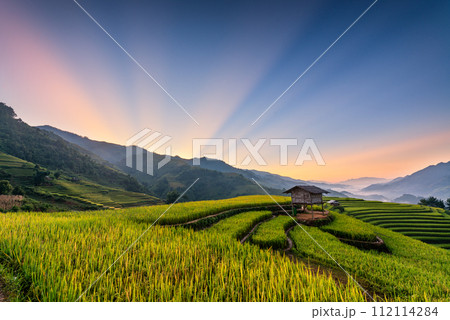 Rice fields on terraced of Mu Cang Chai, YenBai, Vietnam. 112114284