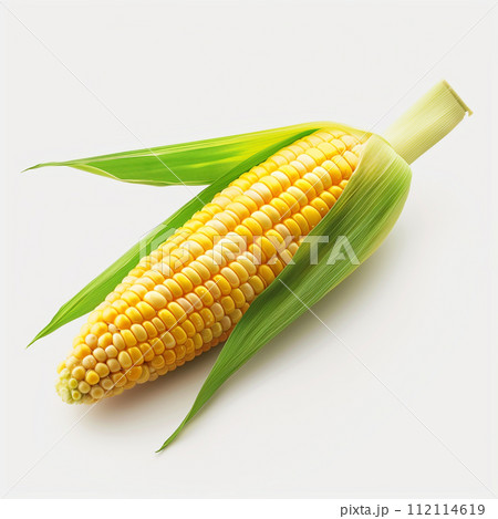 A vibrant, high-resolution image of a fresh corn cob with its husk partially peeled, showcasing the bright yellow kernels. 112114619