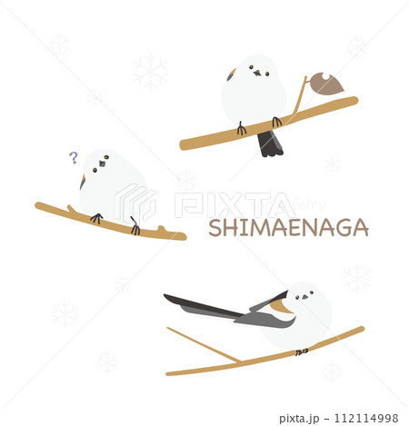 小枝に留まって首を傾げるシマエナガ 小枝に留まって首を傾げるシマエナガ 112114998