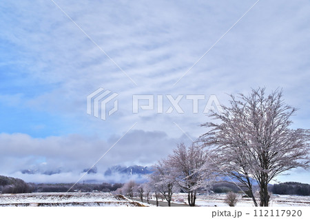 雨氷　氷 112117920