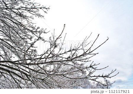 雨氷　氷 112117921