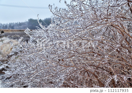 雨氷 氷 雨氷 氷 112117935
