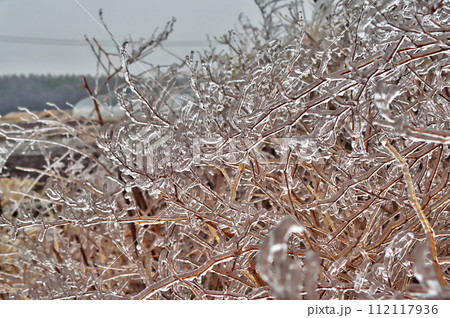 雨氷 氷 雨氷 氷 112117936