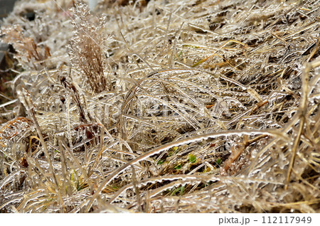 雨氷 氷 雨氷 氷 112117949