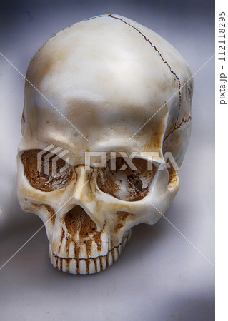 human skull bone in the shadow human skull bone in the shadow 112118295