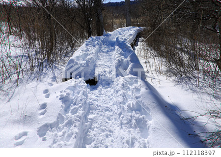 雪の染まる冬の戦場ヶ原 雪の染まる冬の戦場ヶ原 112118397