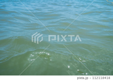 Ocean bathing 112118418