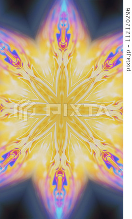 Lotus mandala ink kaleidoscope floral ornament 112120296