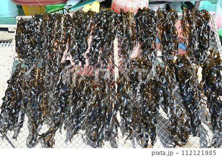 Korea seafood. sea mustard, seaweed drying seaweed Korea seafood. sea mustard, seaweed drying seaweed 112121985