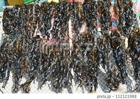 Korea seafood. sea mustard, seaweed drying seaweed 112121988