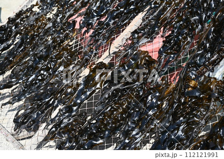Korea seafood. sea mustard, seaweed drying seaweed 112121991