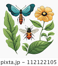 Insects botanical leaf flowers vector illustration 112122105