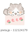 桃の箱に入ったふんわりかわいい長毛猫 112124179