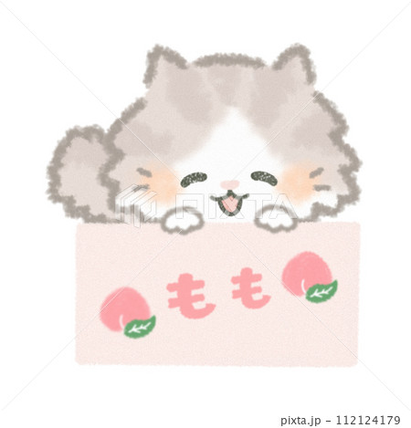桃の箱に入ったふんわりかわいい長毛猫 桃の箱に入ったふんわりかわいい長毛猫 112124179