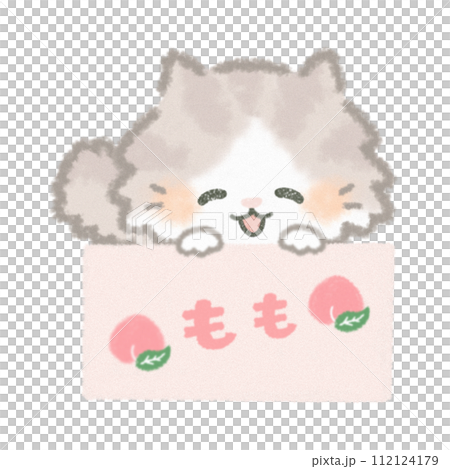 桃の箱に入ったふんわりかわいい長毛猫 桃の箱に入ったふんわりかわいい長毛猫 112124179