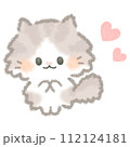 ふんわりかわいい長毛猫 112124181