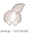 ふんわりかわいい長毛猫のおしり 112124182