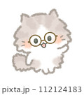 メガネをかけたふんわりかわいい長毛猫 112124183