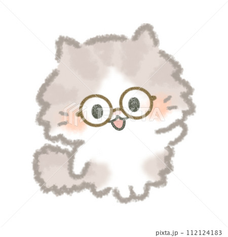 メガネをかけたふんわりかわいい長毛猫 メガネをかけたふんわりかわいい長毛猫 112124183