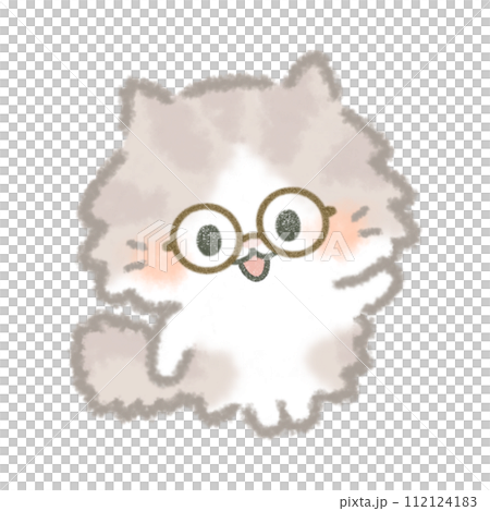 メガネをかけたふんわりかわいい長毛猫 メガネをかけたふんわりかわいい長毛猫 112124183