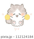 応援するふんわりかわいい長毛猫 112124184