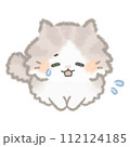謝るふんわりかわいい長毛猫 112124185