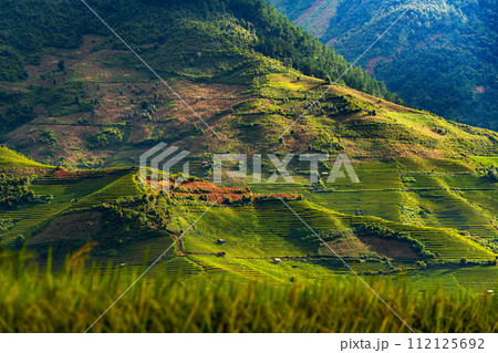 Sunset over Terraced rice fields, Mu Cang Chai, Yen Bai, Vietnam 112125692