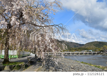 日本の春の京都 嵐山周辺の街並み 観光名所の渡月橋と桂川 石畳の川岸に咲く綺麗な桜 新緑が美しい山々 日本の春の京都 嵐山周辺の街並み 観光名所の渡月橋と桂川 石畳の川岸に咲く綺麗な桜 新緑が美しい山々 112126121