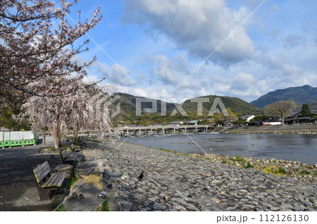 日本の春の京都 嵐山周辺の街並み 観光名所の渡月橋と桂川 石畳の川岸に咲く綺麗な桜 新緑が美しい山々 日本の春の京都 嵐山周辺の街並み 観光名所の渡月橋と桂川 石畳の川岸に咲く綺麗な桜 新緑が美しい山々 112126130