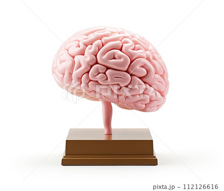 AI-generated content. a human brain model 112126616