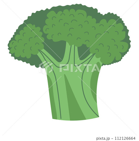Broccoli vegetable, fresh organic natural food 112126664