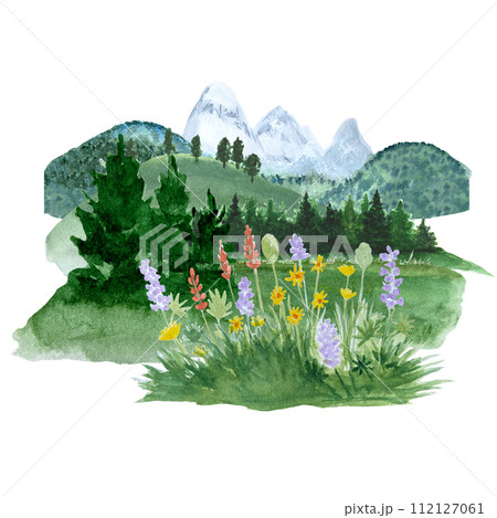 High quality watercolor landscape pine forest flowers hills and mountain peaks isolated on white 112127061