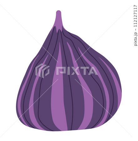Ripe figs with tender pulp, organic tasty fruits Ripe figs with tender pulp, organic tasty fruits 112127117