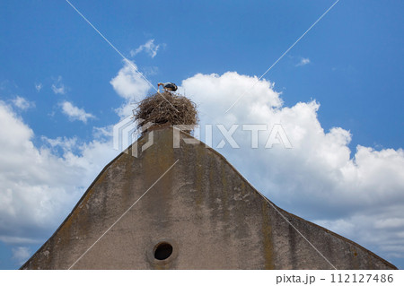 Storks in a nest on a roof in an Alsace village Storks in a nest on a roof in an Alsace village 112127486