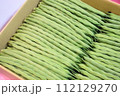 インゲンマメ 112129270