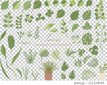 Illustration set of various leaves and plants Illustration set of various leaves and plants 112129504