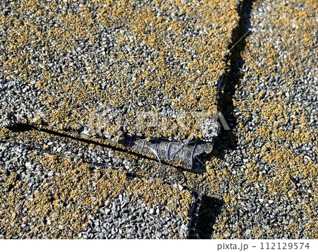 劣化したスレート屋根 112129574