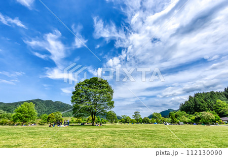 春の宮ヶ瀬湖畔園地 　神奈川県 112130090
