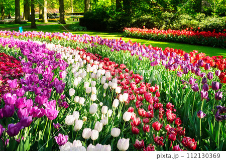 fresh lawn with flowers 112130369