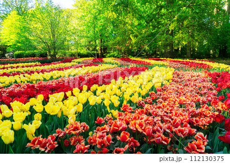 fresh lawn with flowers 112130375