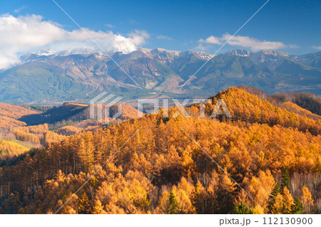 紅葉するカラマツと十勝岳連峰 紅葉するカラマツと十勝岳連峰 112130900