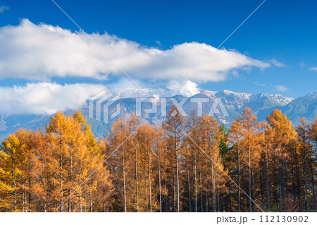 紅葉するカラマツと十勝岳連峰 112130902