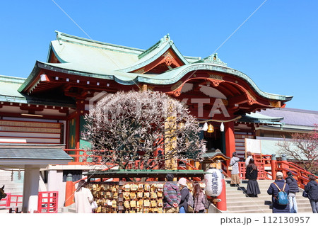 亀戸天神の梅まつり うめ 白梅と紅梅 東京都江東区亀戸 亀戸天神の梅まつり うめ 白梅と紅梅 東京都江東区亀戸 112130957