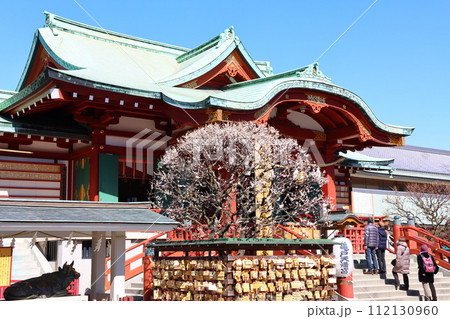 亀戸天神の梅まつり　うめ　白梅と紅梅　東京都江東区亀戸 112130960