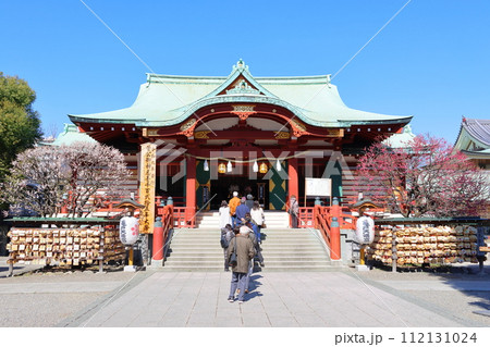 亀戸天神の梅まつり うめ 白梅と紅梅 東京都江東区亀戸 亀戸天神の梅まつり うめ 白梅と紅梅 東京都江東区亀戸 112131024