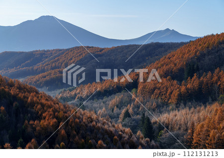 紅葉するカラマツと霧氷　秋と冬の狭間　十勝岳 112131213