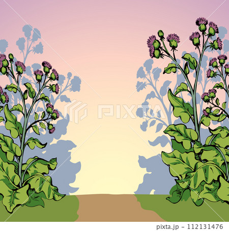 Big blooming burdock. Vector drawing 112131476