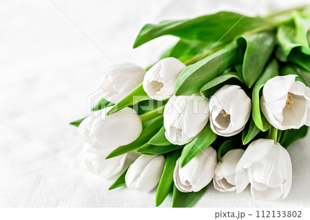 fresh bouquet of white tulips with lush green leaves on white textured surface, Mothers day or Women's day. Top view with copy space Floral composition Romantic background fresh bouquet of white tulips with lush green leaves on white textured surface, Mothers day or Women's day. Top view with copy space Floral composition Romantic background 112133802