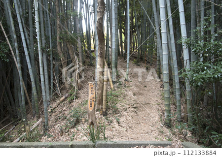 花沢城　8の曲輪 112133884