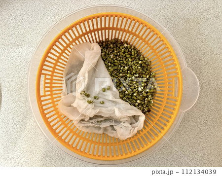 Micro greens. Sprouted mung beans, green mung beans in a plastic yellow bowl on the table. Healthy food for microgreens and vegans. 112134039